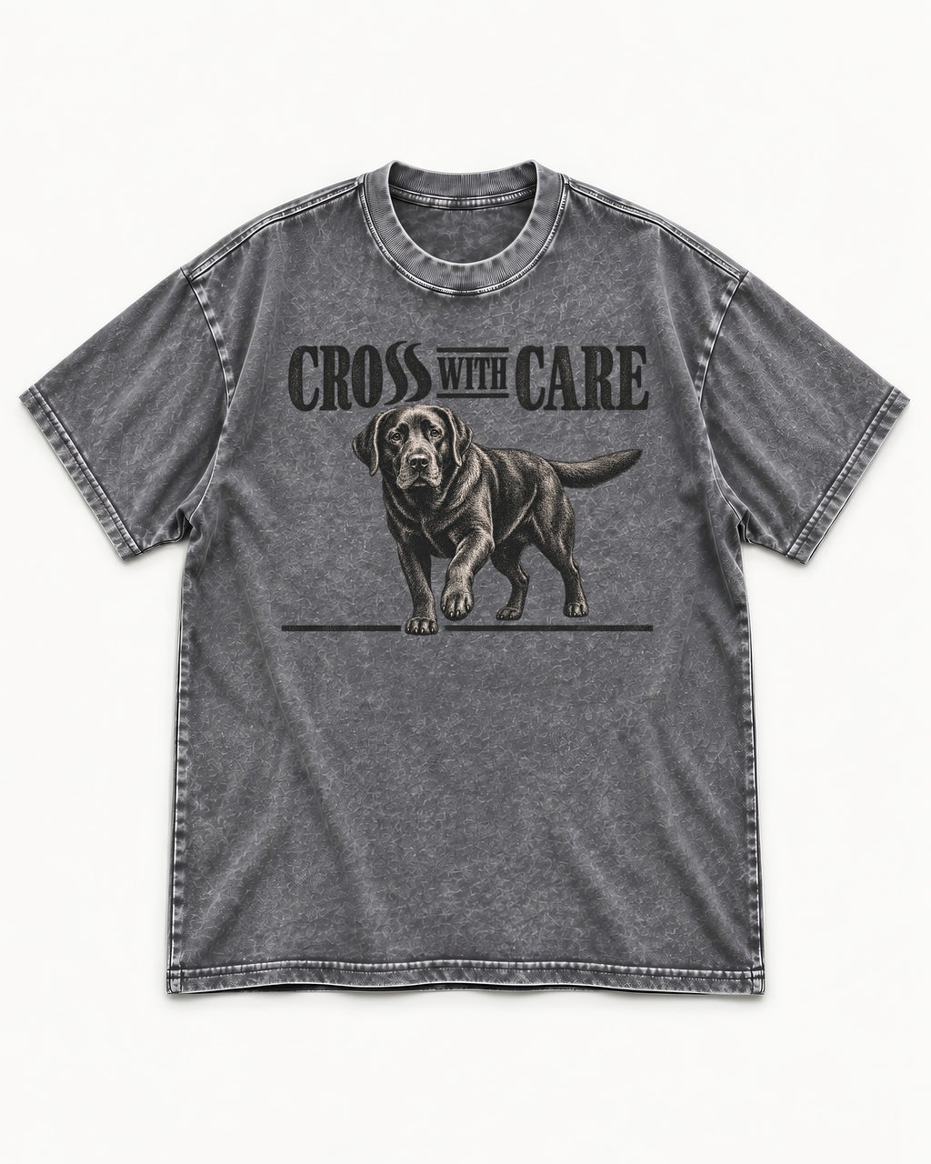 Labrador Retriever Cross with Care Washed Tee in Gray, flat lay product photo
