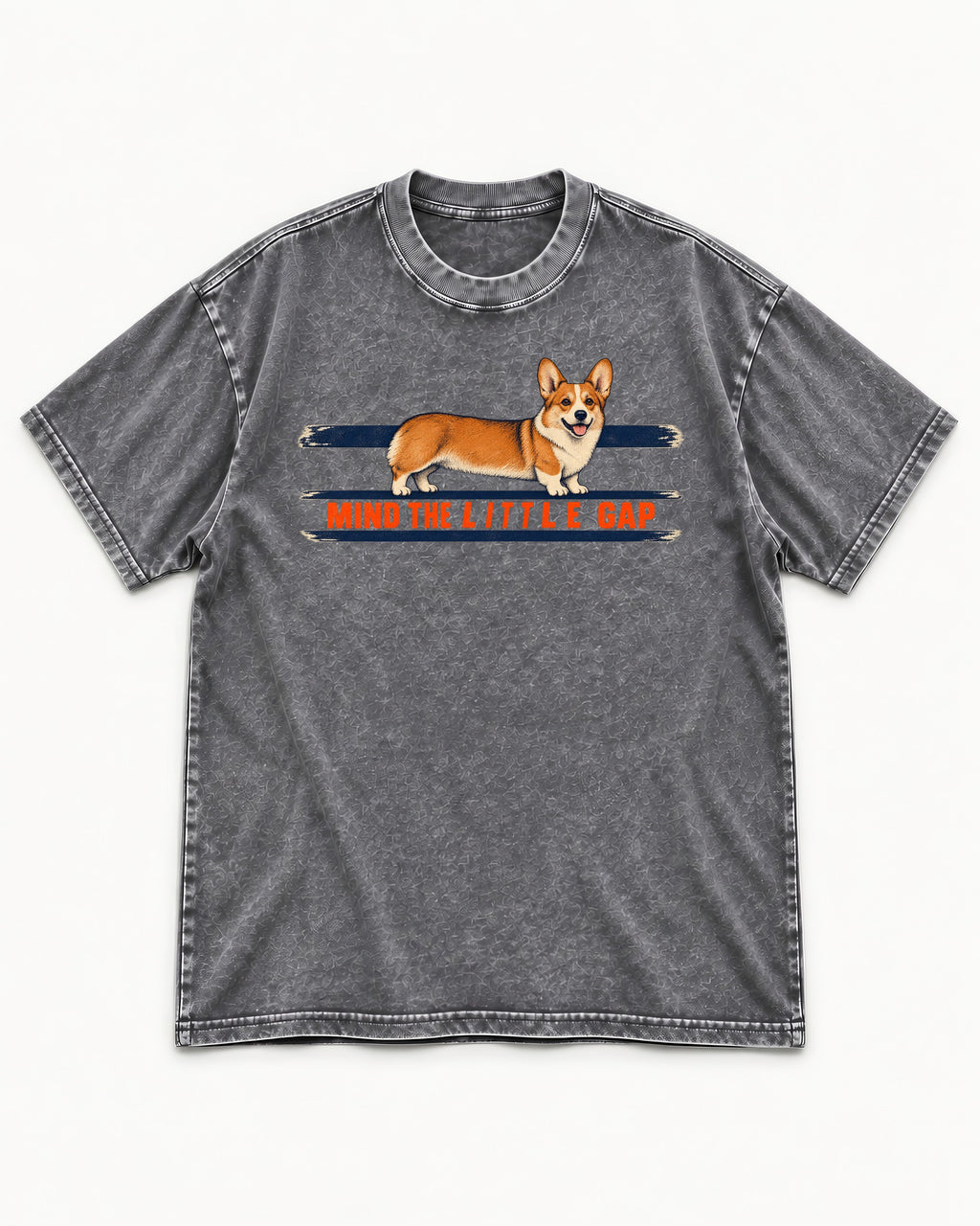 Mind the Little Corgi Gap Washed Tee in Gray, flat lay product photo