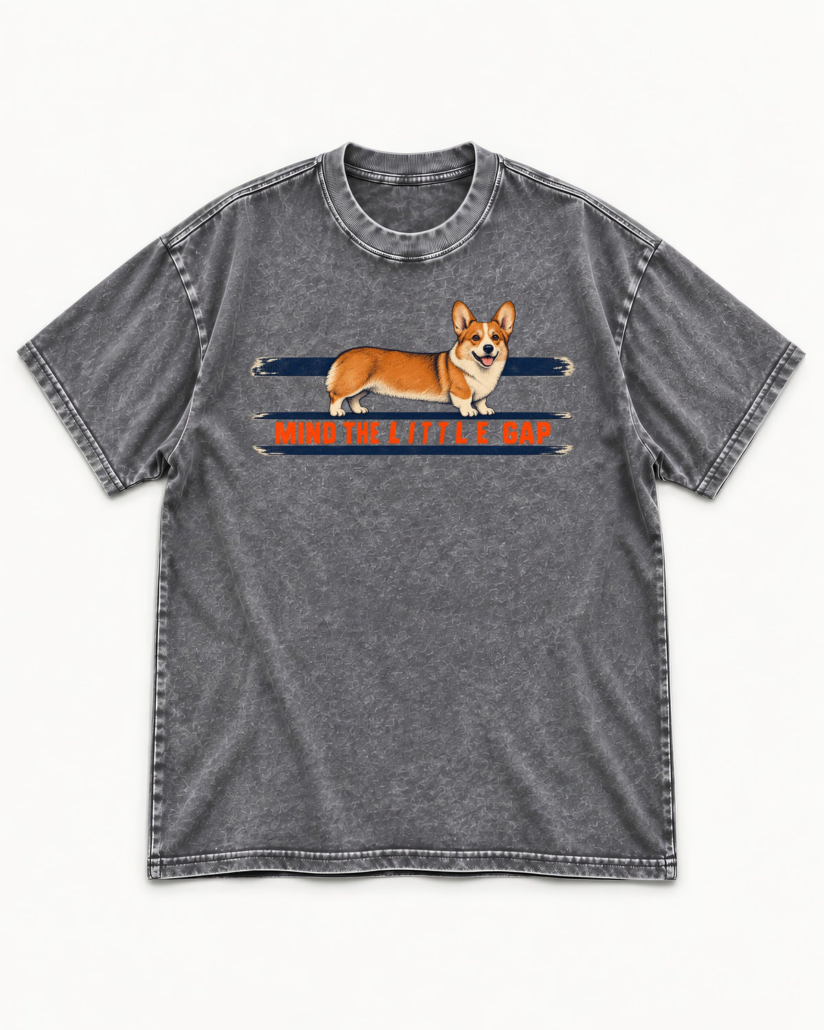 Mind the Little Corgi Gap Washed Tee in Gray, flat lay product photo