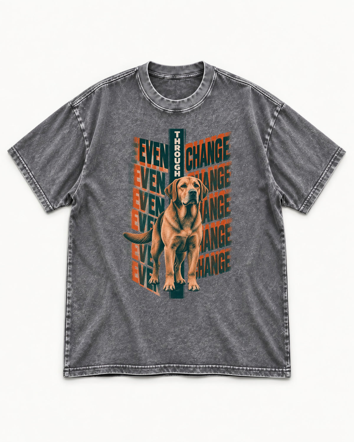 Labrador Retriever Even Through Change Repeated Poster Graphic Washed Tee in Gray, flat lay product photo