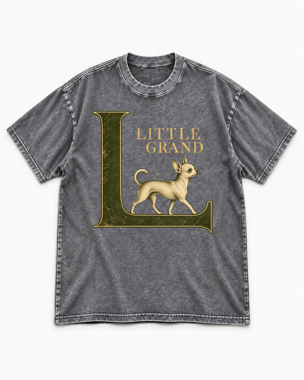 Little Grand Chihuahua Washed Tee in Gray, flat lay product photo