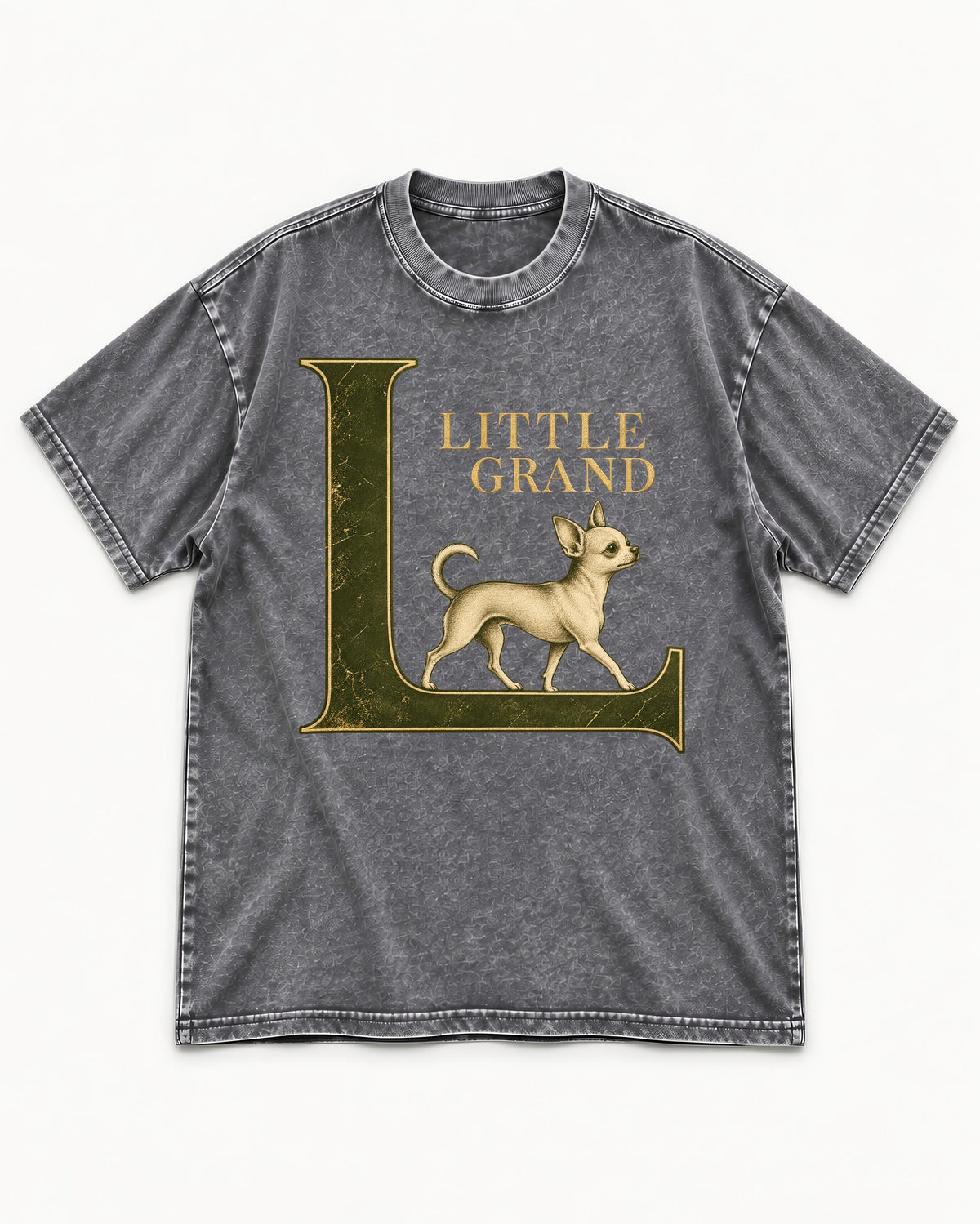 Little Grand Chihuahua Washed Tee in Gray, flat lay product photo