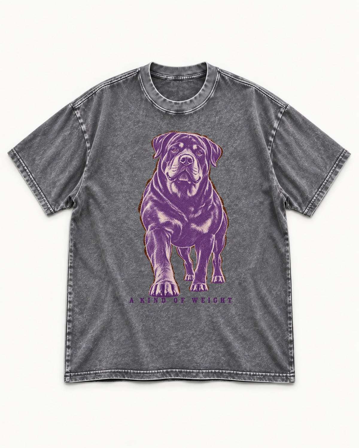 Rottweiler A Kind of Weight Washed Tee in Gray, flat lay product photo