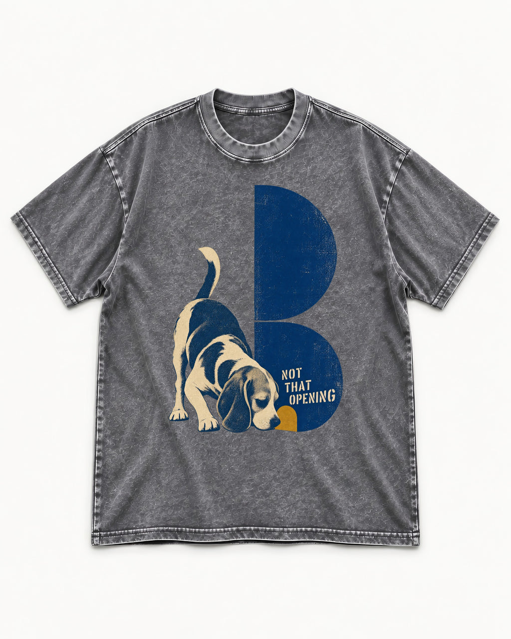 Not That Opening Beagle Washed Tee in Gray, flat lay product photo