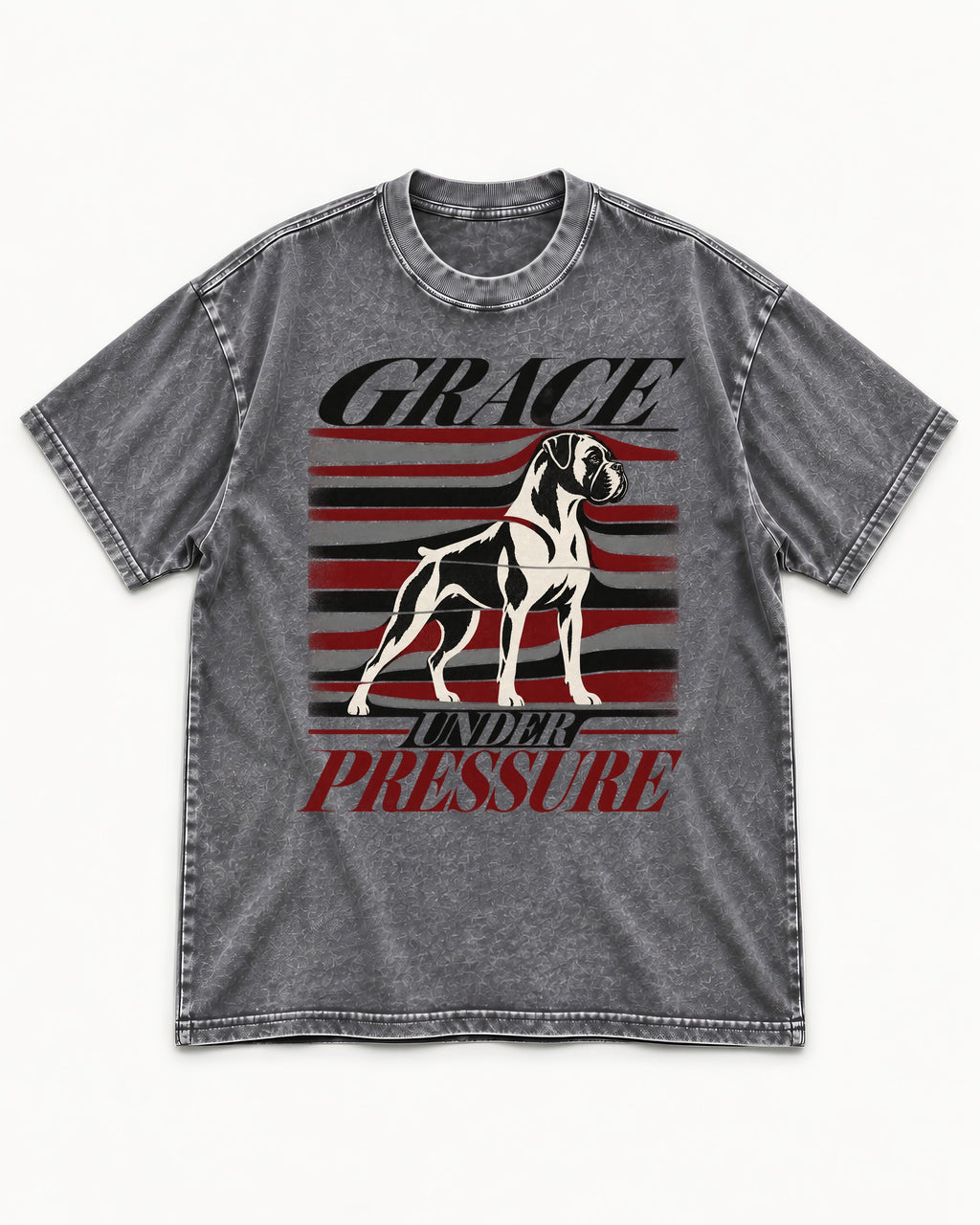 Boxer Grace Under Pressure Washed Tee in Gray, flat lay product photo
