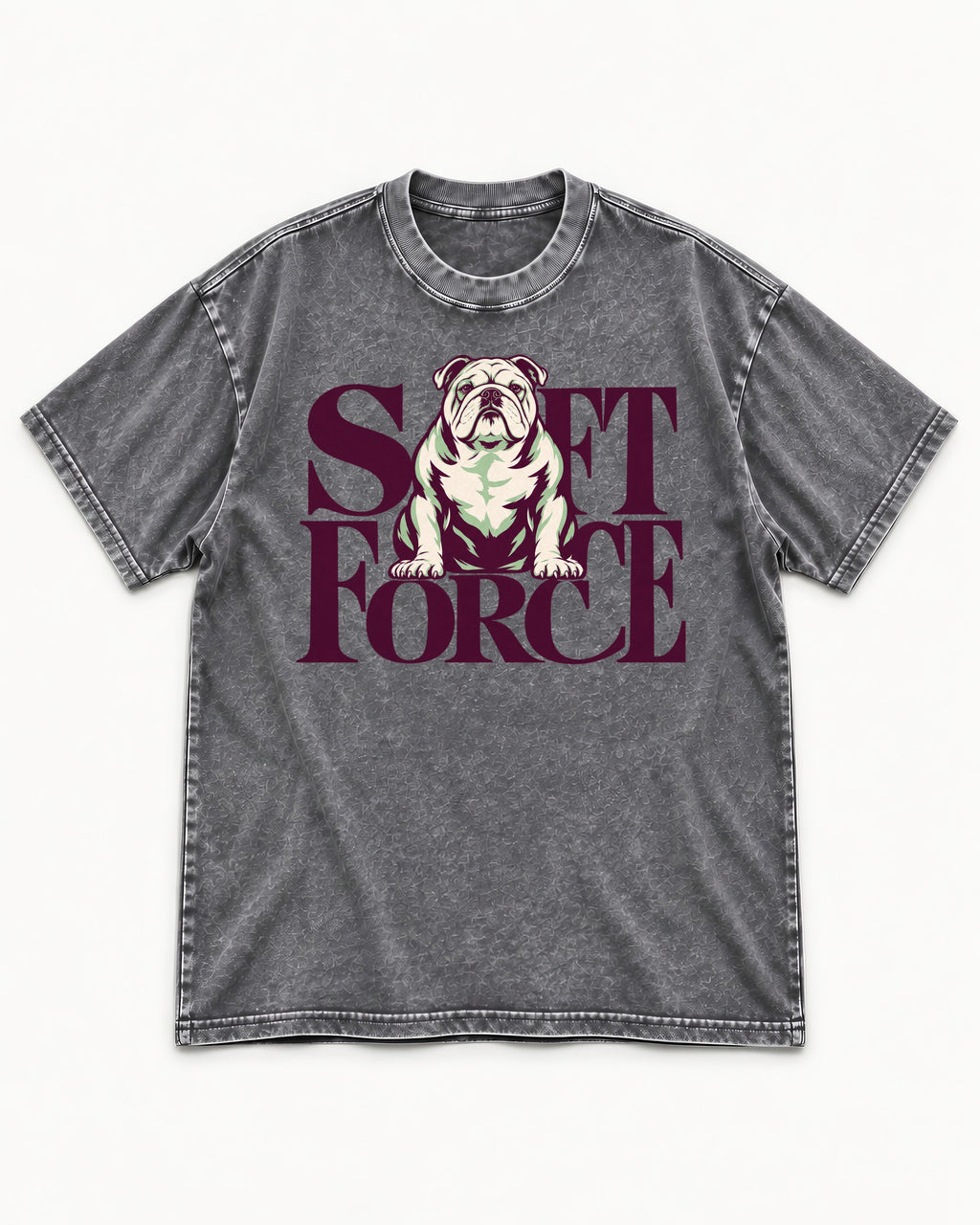Set Force English Bulldog Washed Tee in Gray, flat lay product photo