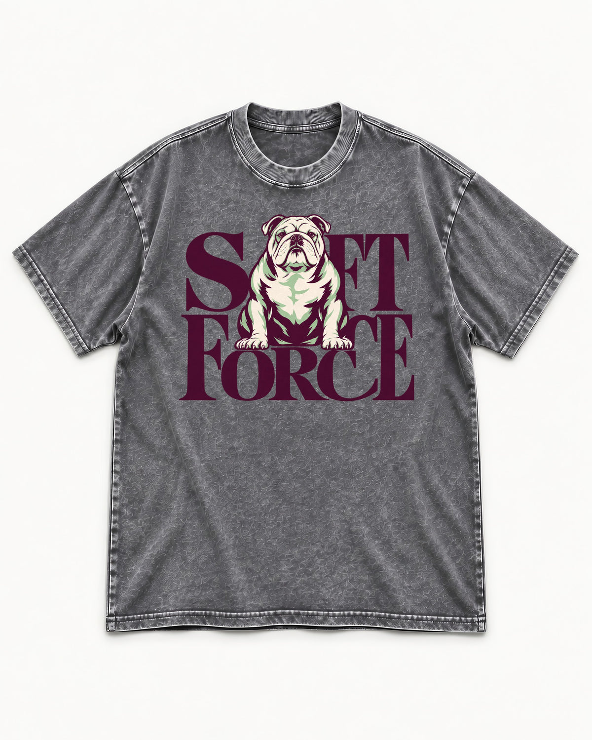 Set Force English Bulldog Washed Tee in Gray, flat lay product photo