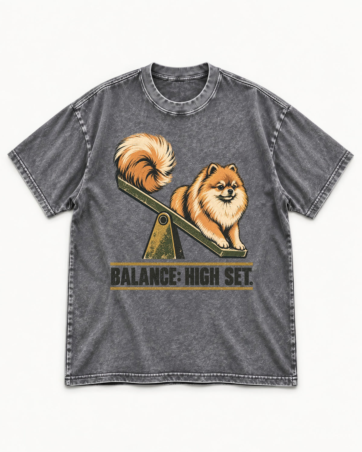 Pomeranian Balance High Set Washed Tee in Gray, flat lay product photo