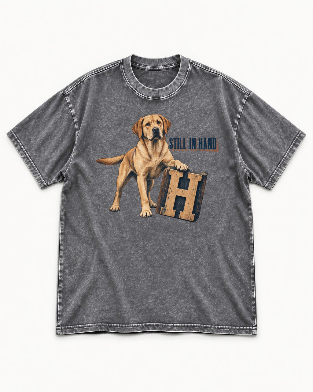 Labrador Retriever Still in Hand Washed Tee in Gray, flat lay product photo