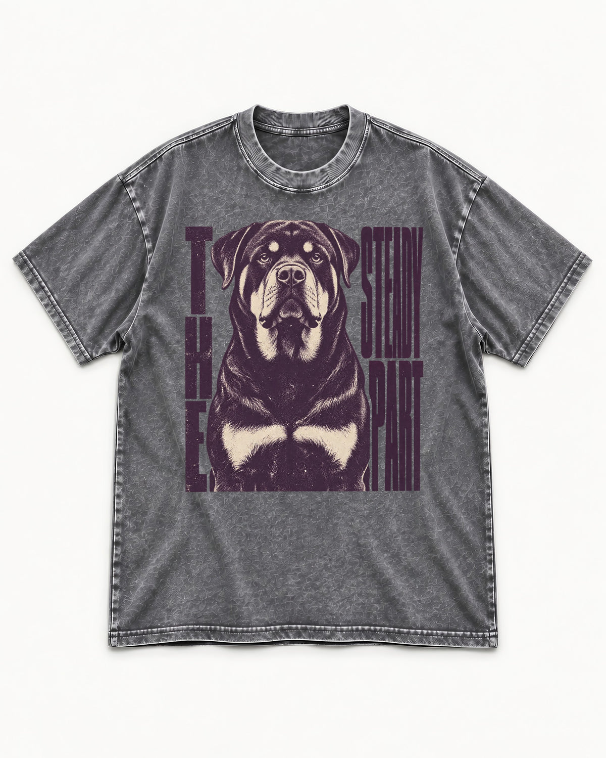 Rottweiler The Steady Part Washed Tee in Gray, flat lay product photo