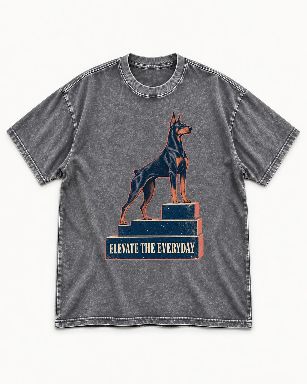 Doberman Elevate the Everyday Podium Graphic Washed Tee in Gray, flat lay product photo