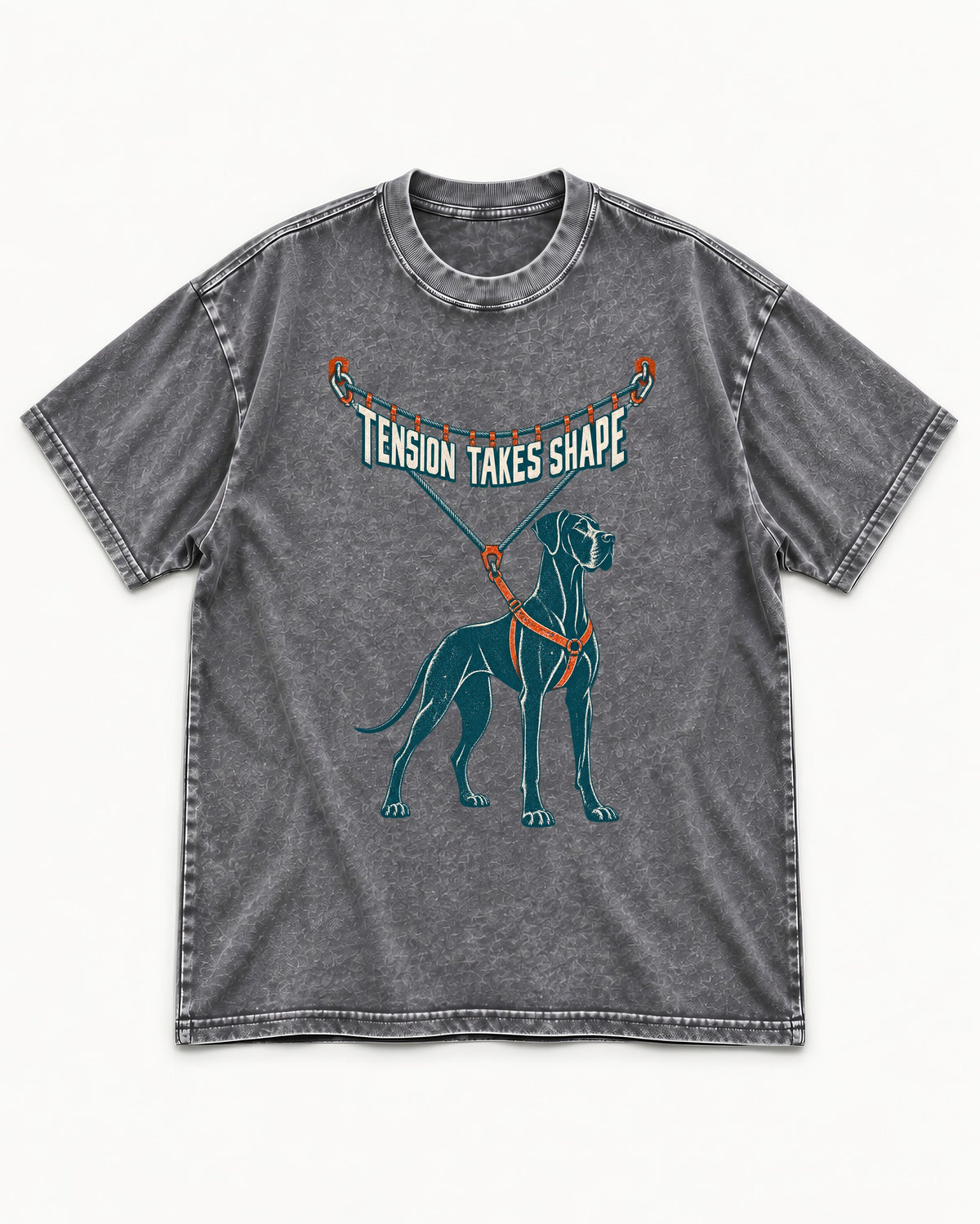 Great Dane Tension Takes Shape Washed Tee in Gray, flat lay product photo