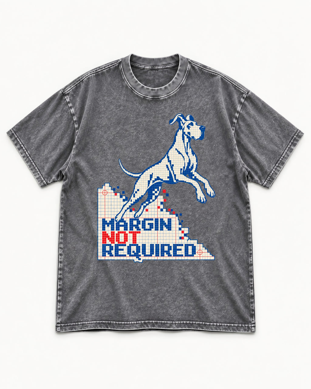 Great Dane Margin Not Required Washed Tee in Gray, flat lay product photo