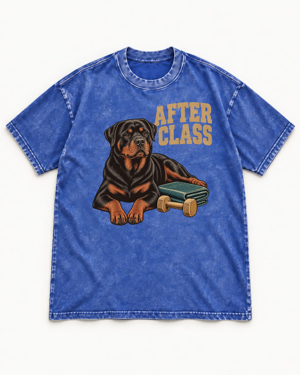 Rottweiler After Class Books and Dumbbell Graphic Washed Tee in Royal Blue, flat lay product photo