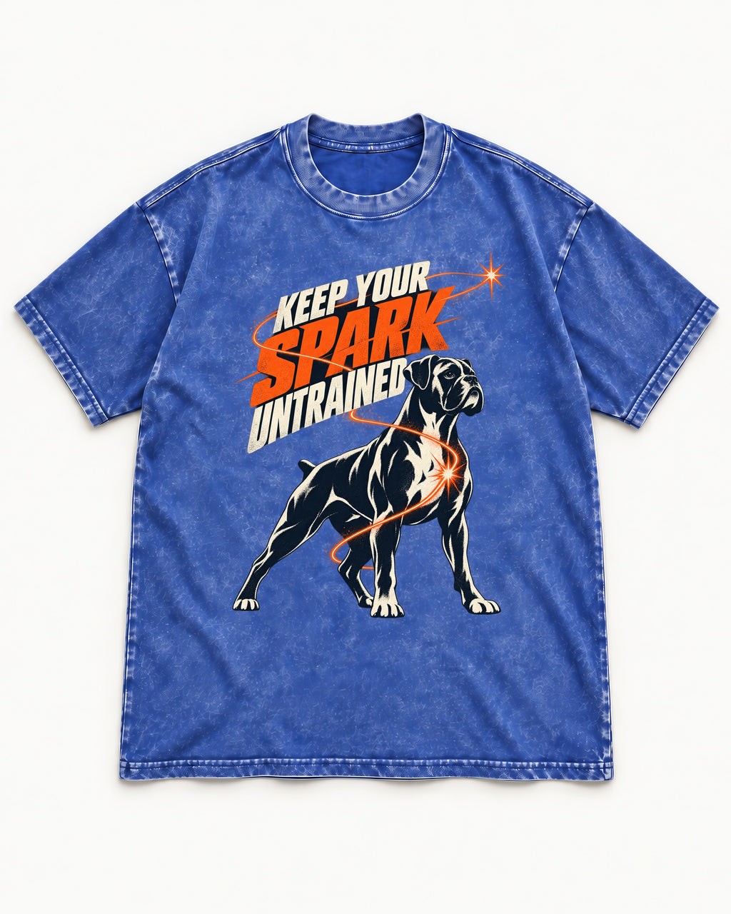 Boxer Keep Your Spark Untrained Washed Tee in Royal Blue, flat lay product photo