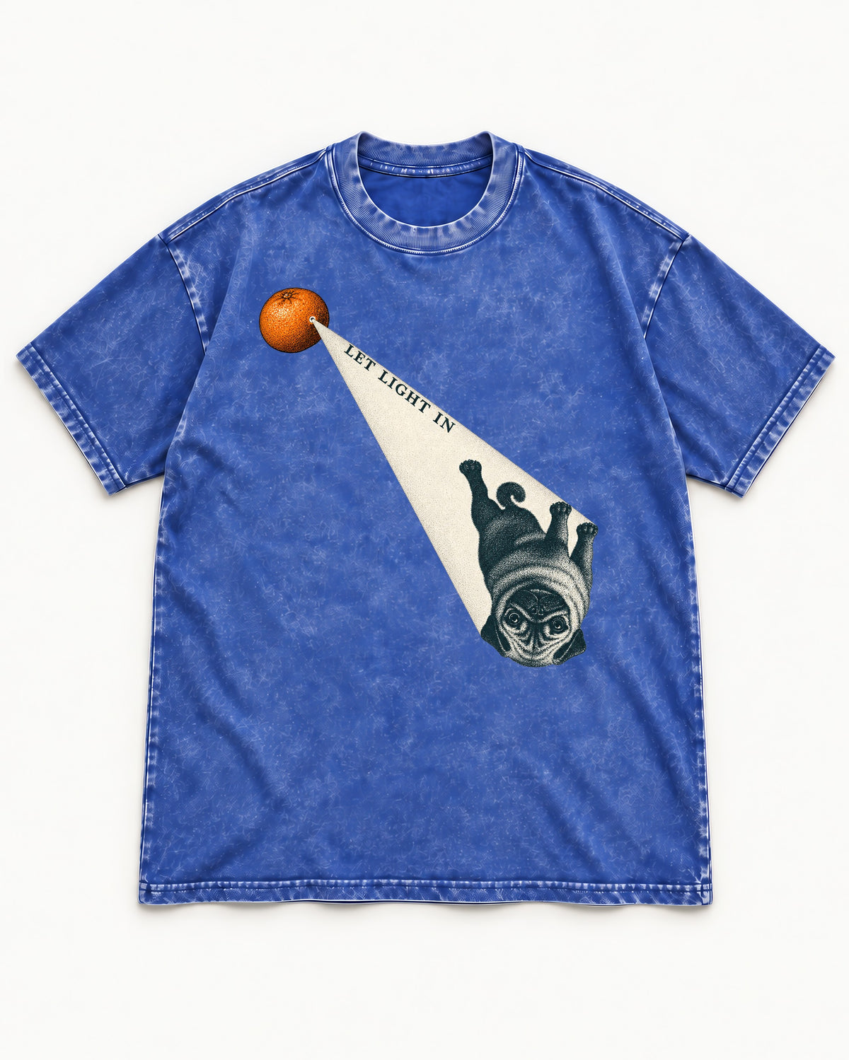 Pug Let Light In Camera Obscura Graphic Washed Tee in Royal Blue, flat lay product photo