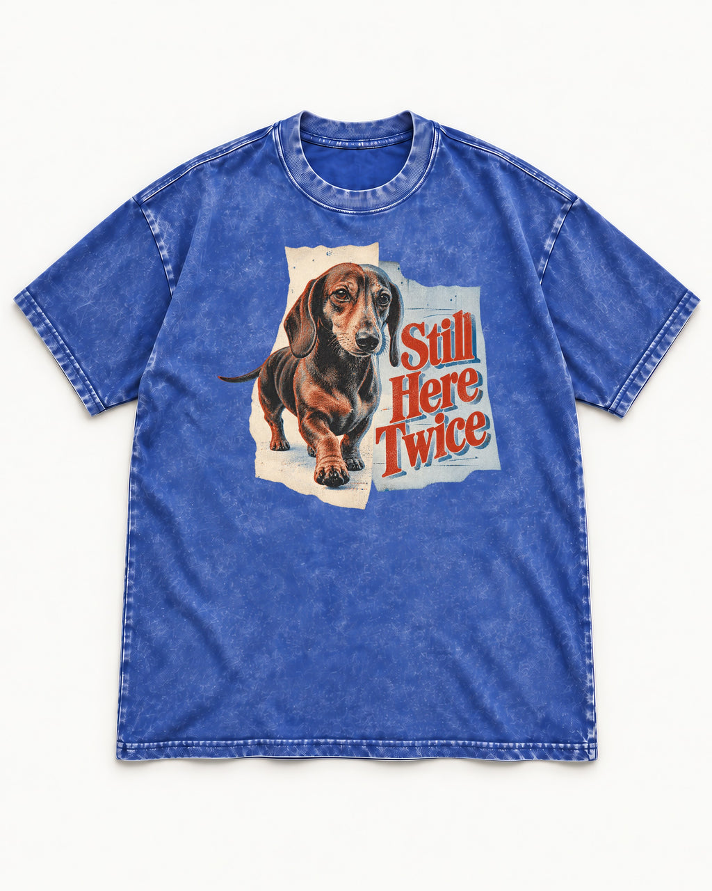 Dachshund Still Here Twice Torn Paper Graphic Washed Tee in Royal Blue, flat lay product photo