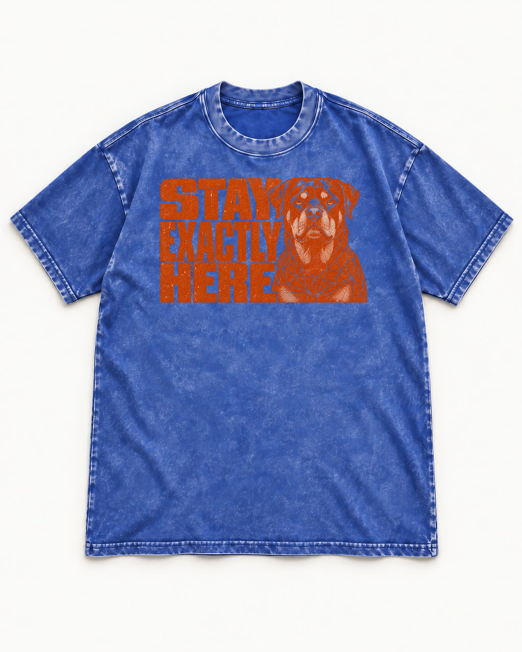Rottweiler Stay Exactly Here Block Portrait Graphic Washed Tee in Royal Blue, flat lay product photo