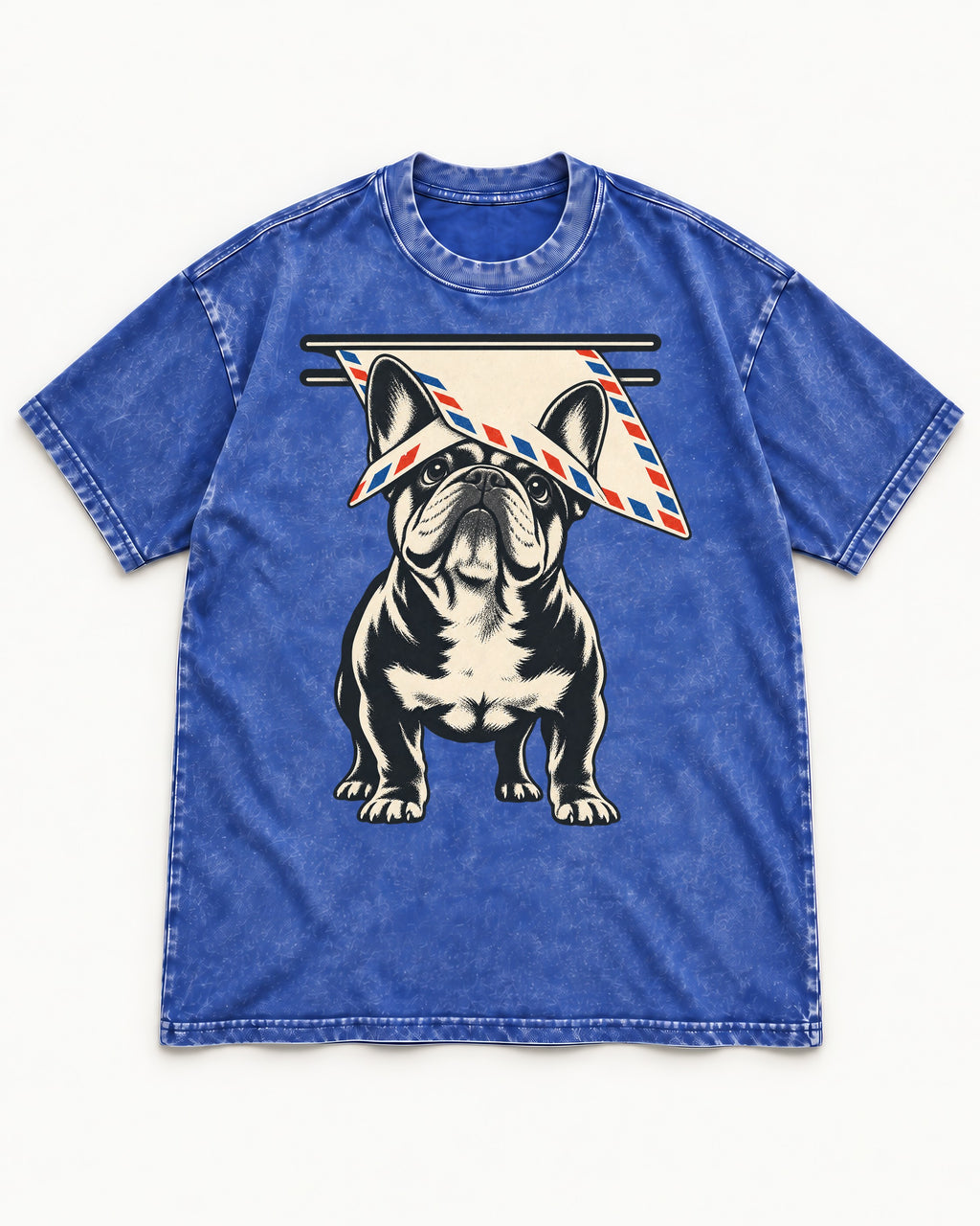 Frenchie Mail Slot Intercept Graphic Washed Tee in Royal Blue, flat lay product photo