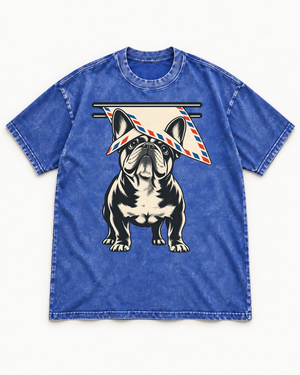 Frenchie Mail Slot Intercept Graphic Washed Tee in Royal Blue, flat lay product photo