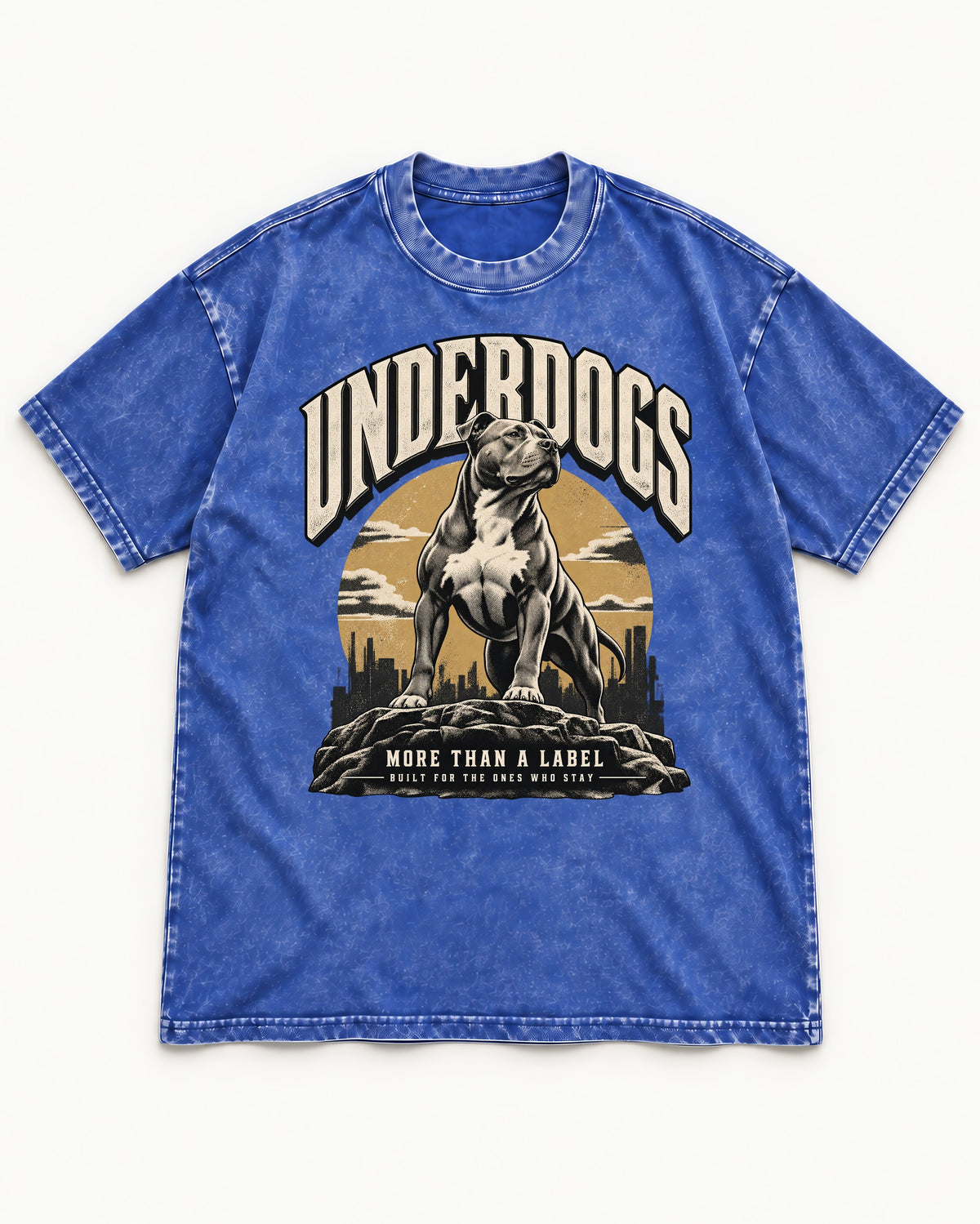 Pitbull Underdogs City Monument Graphic Washed Tee in Royal Blue, flat lay product photo