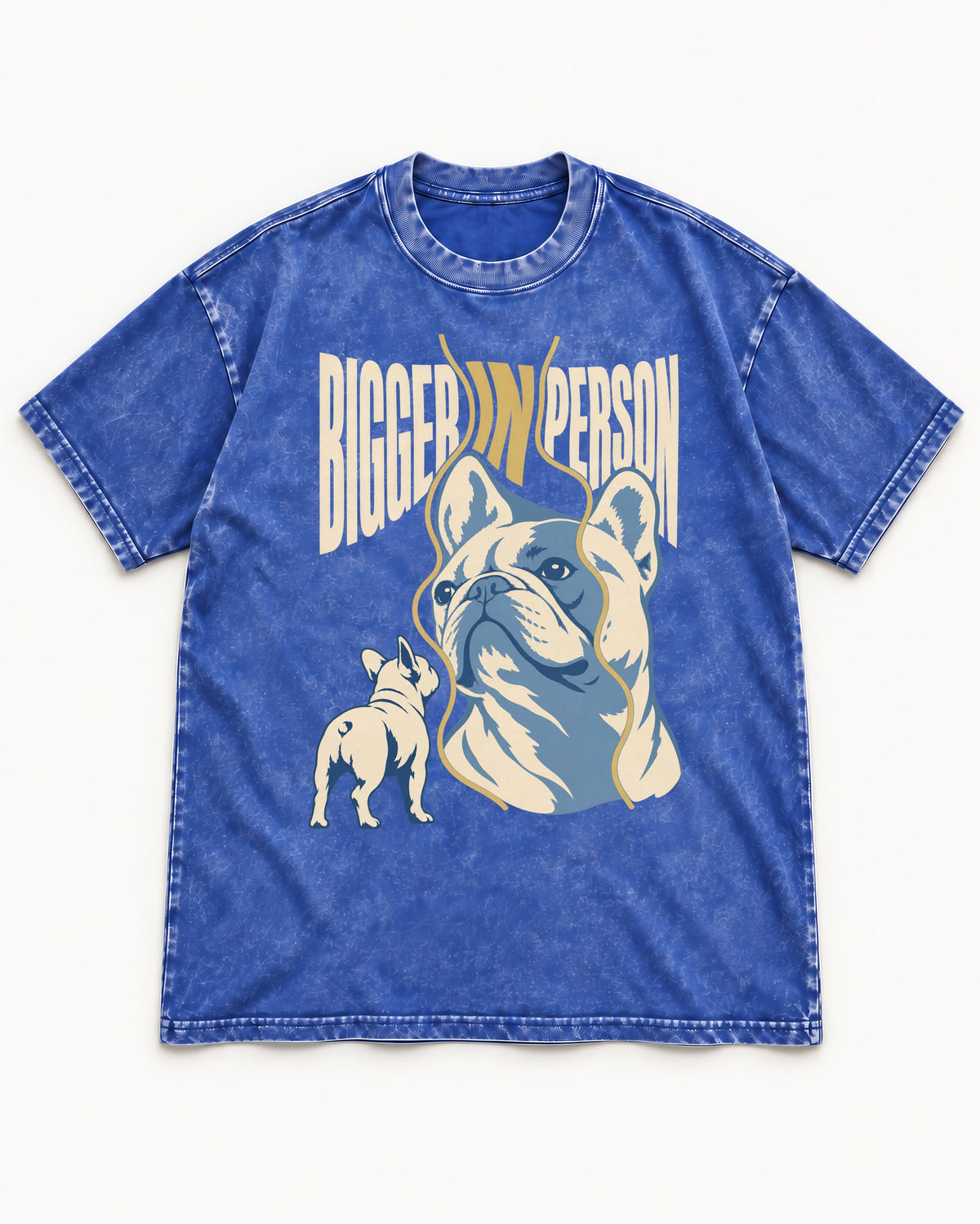 Frenchie Bigger in Person Mirror Graphic Washed Tee in Royal Blue, flat lay product photo