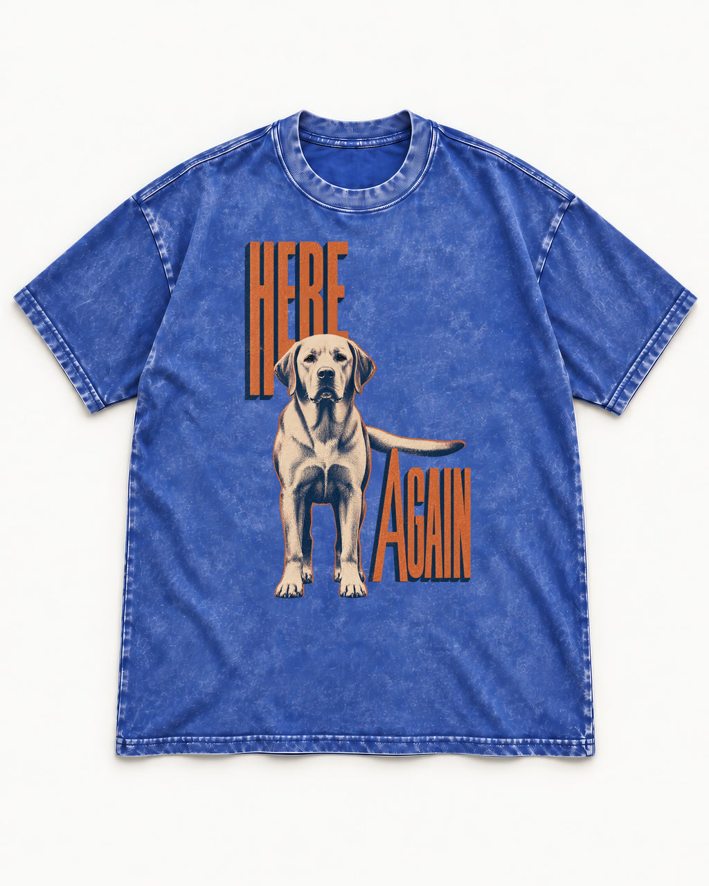 Labrador Retriever Here Again Standing Typography Graphic Washed Tee in Royal Blue, flat lay product photo