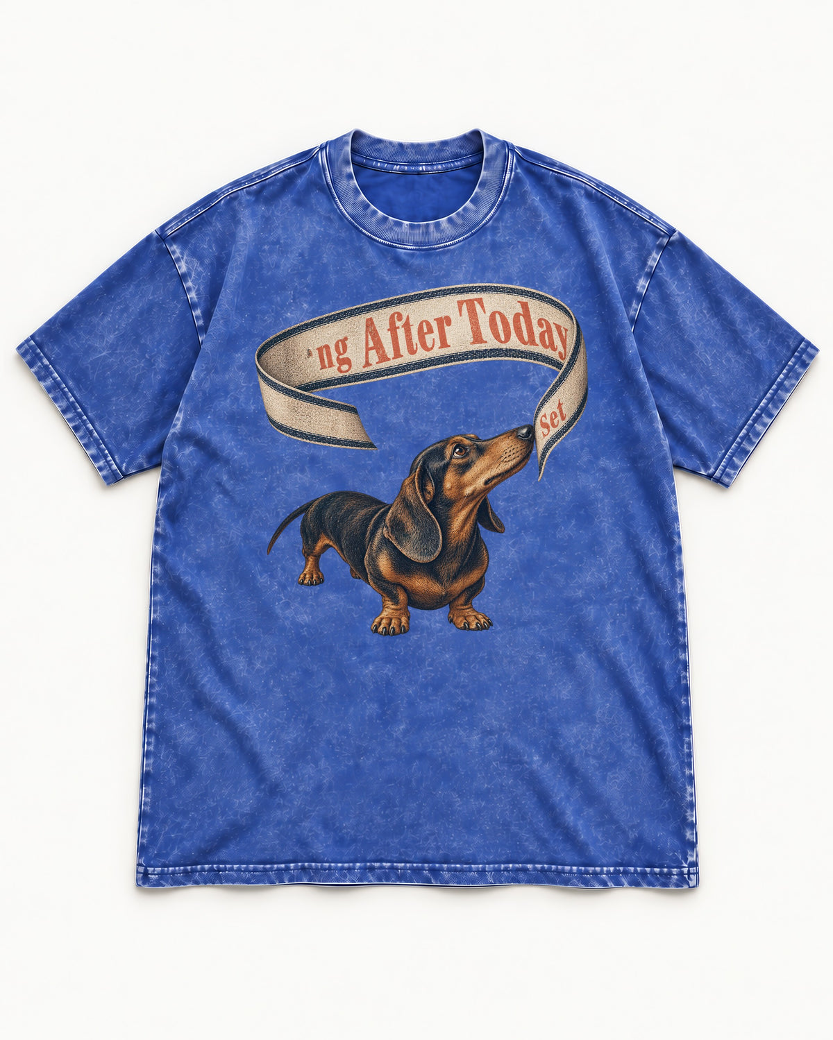 Dachshund ng After Today Set Ribbon Graphic Washed Tee in Royal Blue, flat lay product photo