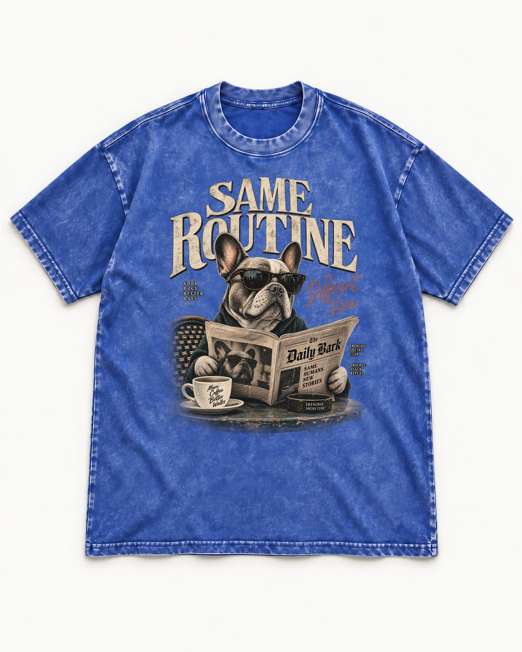 Frenchie Same Routine Different View Graphic Washed Tee in Royal Blue, flat lay product photo