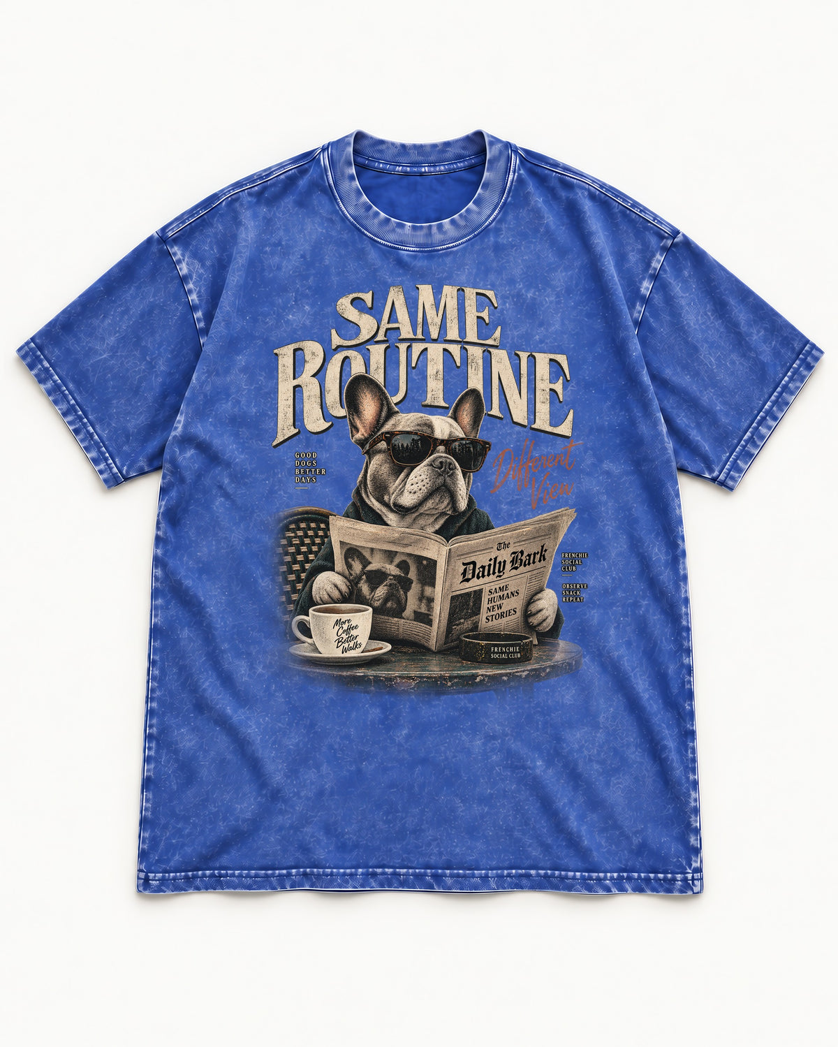 Frenchie Same Routine Different View Graphic Washed Tee in Royal Blue, flat lay product photo