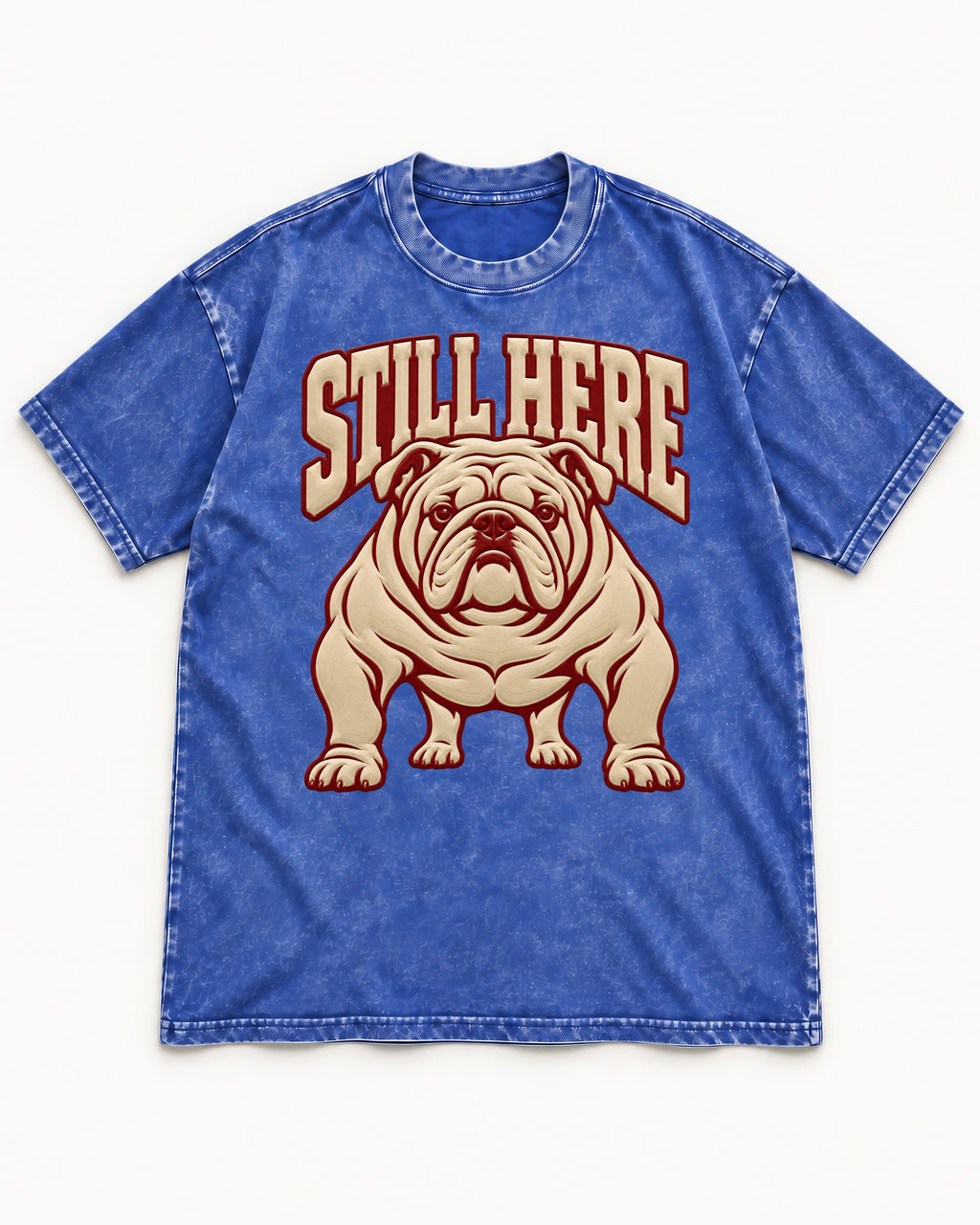 English Bulldog Still Here Collegiate Graphic Washed Tee in Royal Blue, flat lay product photo