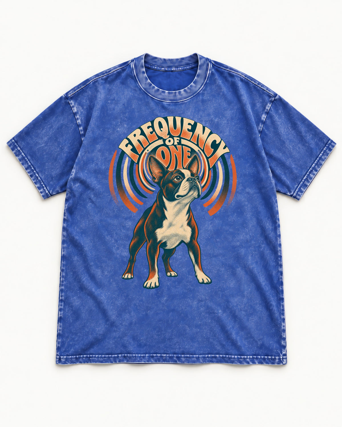Frequency of One Boston Terrier Graphic Washed Tee in Royal Blue, flat lay product photo